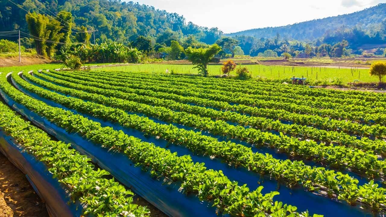 Los mejores equipos para el AGRO