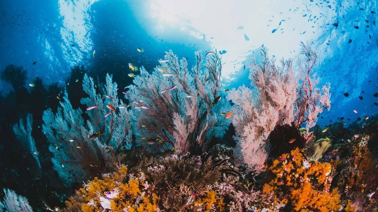 Los mejores equipos para ACUACULTURA y AGUA