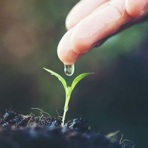 Agricultura